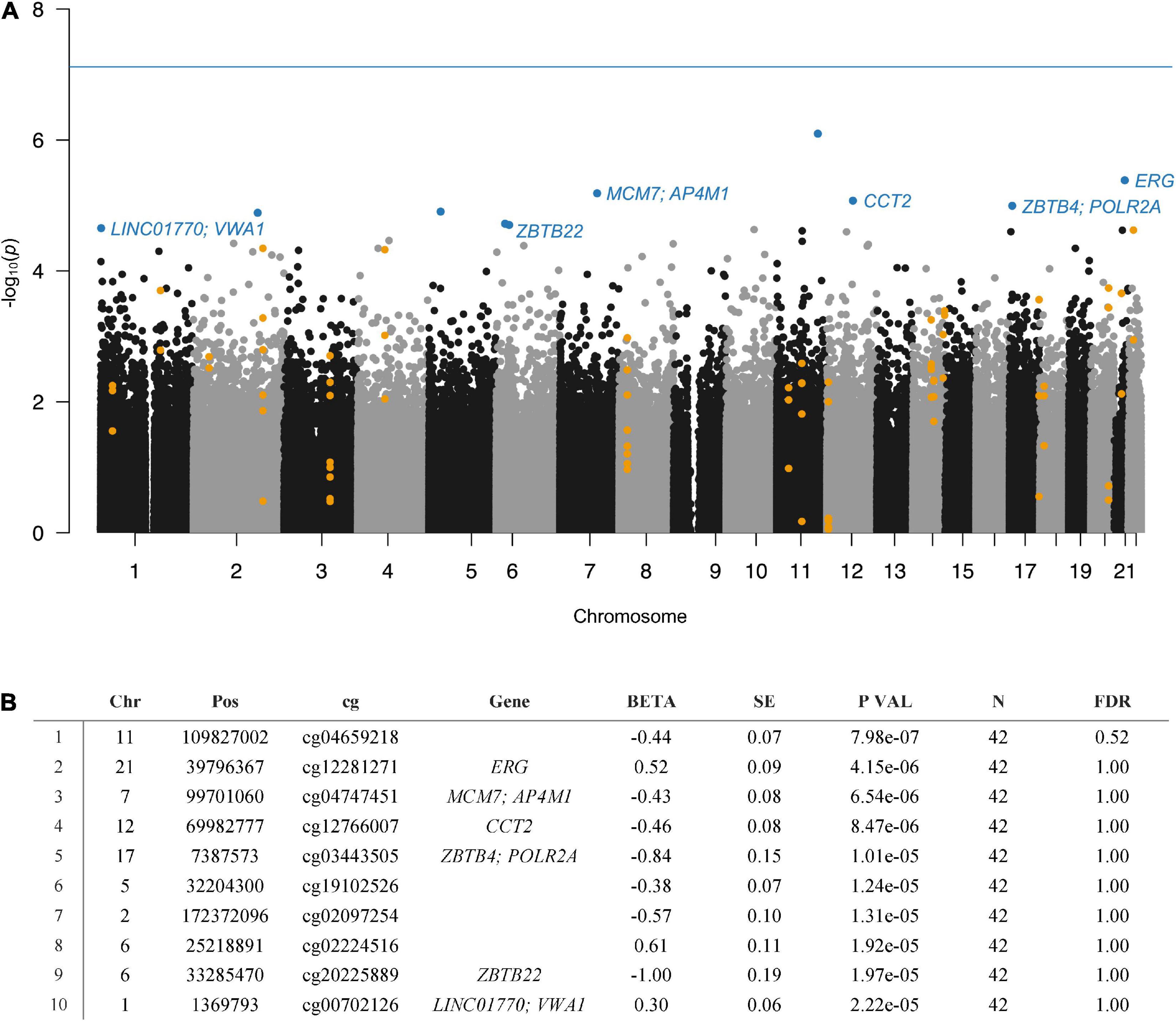 DNA methylation in cocaine use disorder–An epigenome-wide approach in the human prefrontal cortex